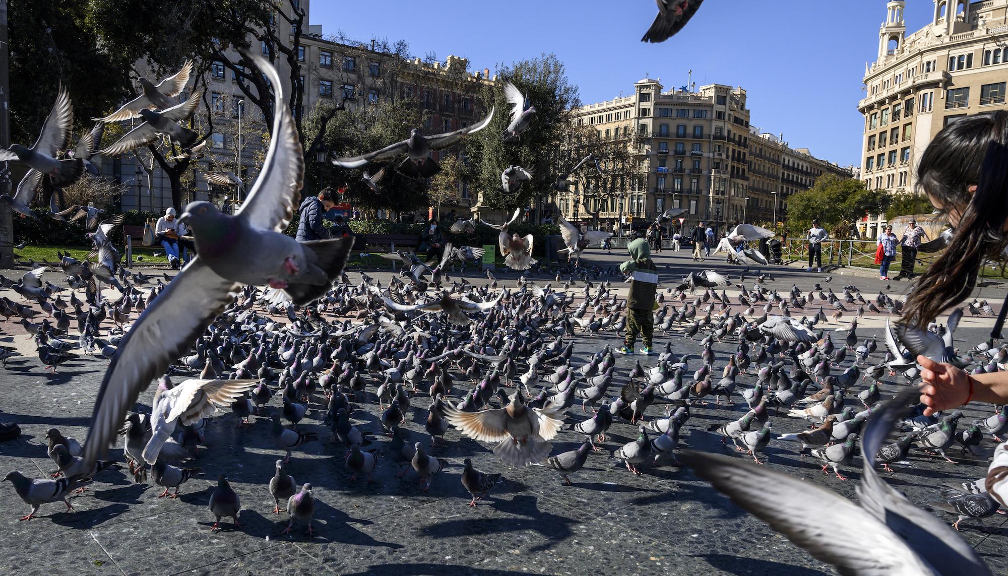 Barcelona - 1