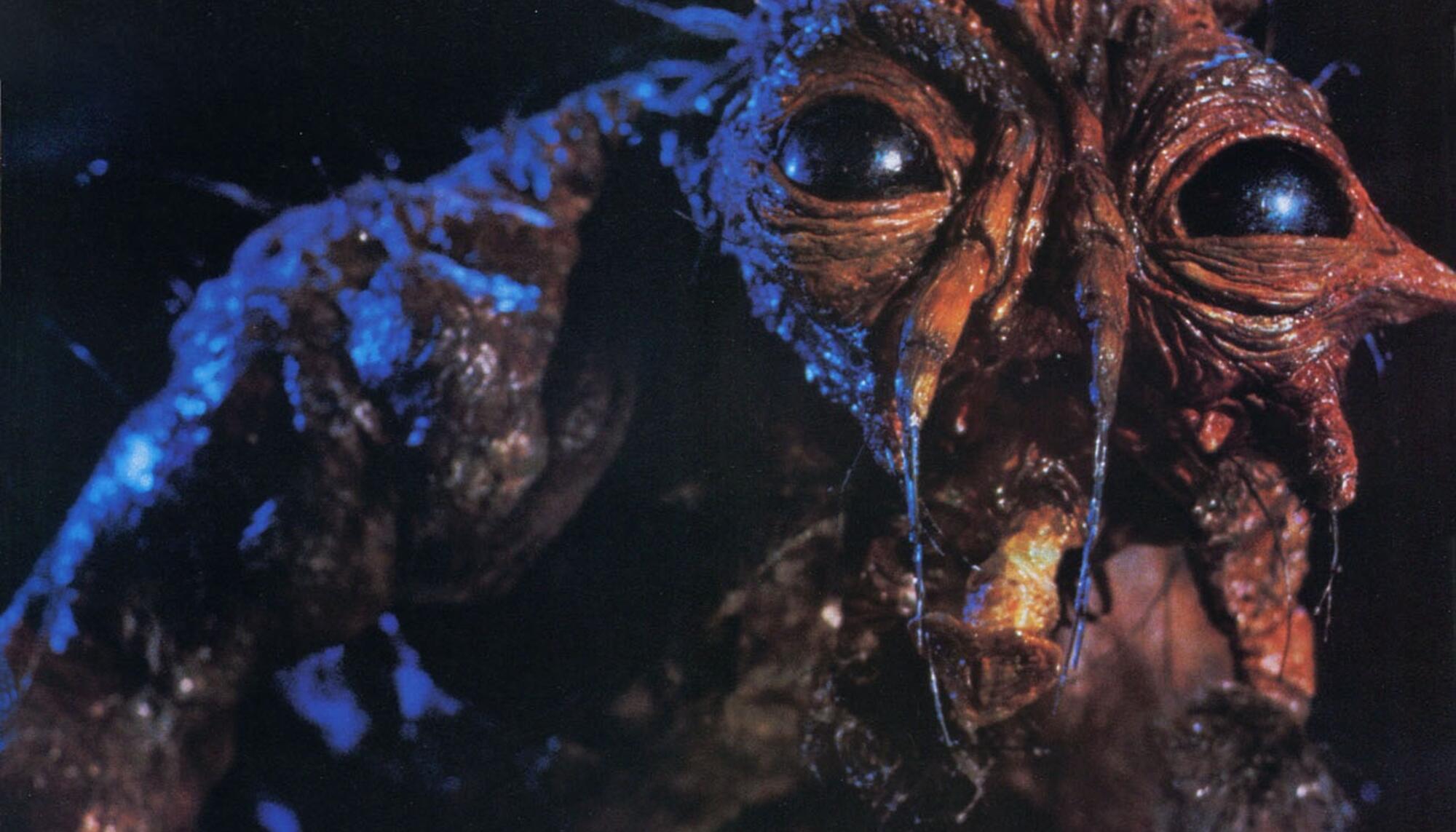 thefly2